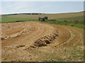 Straw ready for baling, Heytesbury