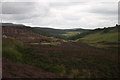 Looking down Garbh Allt valley towards Little Rogart