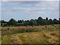 View of Great Bolas from the Allford Brook bridge