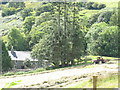 August hay making near Caegwernog