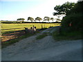 Entrance to Bryn-Gwyn farm