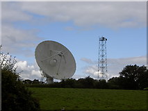 SJ6462 : Radio Telescope near Darnhall. by David Quinn