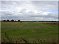 Runway at Ashcroft farm.