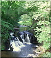 Falls and bridge at Arbirlot