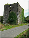 W4244 : Castles of Munster: Ballinoroher, Co. Cork (2) by Mike Searle