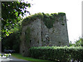 W5654 : Castles of Munster: Poulnalong, Cork by Mike Searle