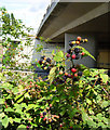 A325 bridge over the A331