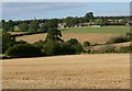 View towards Wardley