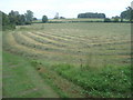 Hay meadow in Dinefwr Park