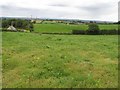 Brackaghlislea Townland