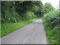 Road at Cloughfin