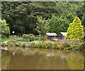 Smallholding by the canal