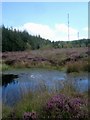 Peat bog east of Llyn Llech Owen lake