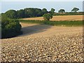 ST6801 : Farmland, Cerne Abbas by Andrew Smith