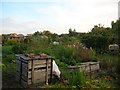 Allotments