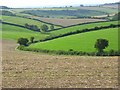 SY6499 : Field Farm Bottom by Andrew Smith