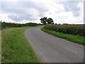 TL1278 : Road towards Salome Wood by Andrew Tatlow