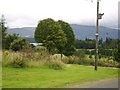 Trees blocking a fine view to Loch Lomond