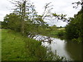 The River Derwent south of Paradise Farm