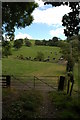 Farmland north of Cefn Farm near Aberhafesp