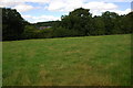 Field near Bwlch-y-ffridd