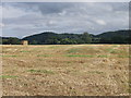 Across the barley stubble towards Lin Can Coppice