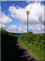 Telegraph pole line