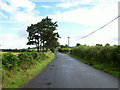 Road to Llangadog