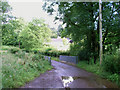 Bridge nr. Cwm Meilwch