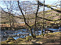 SD2296 : Tarn Beck just before it joins the Duddon by Andrew Hill