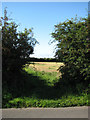 Public bridleway off Honing Road through Mill Common