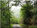 Plas Dolmelynllyn Hotel from the Aber Eden road