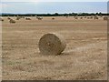 Straw Bales