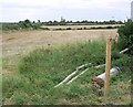 View towards Nailstone