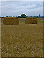 Fields near Tranby Croft