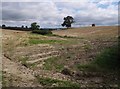 Fields beside Sock Lane