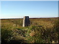 ND3067 : Trig point by Les Harvey