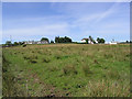 A rough grazing field at Bankshill