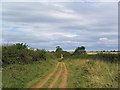 The Viking Way near Skillington