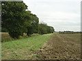SK9094 : Field near Blyborough Covert by Alan Murray-Rust