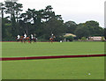 Polo Practice at The Beaufort Polo Club