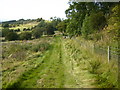 Green track along Scagglethorpe Brow