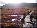 SD7482 : Ascent to Whernside by John Lucas