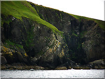 SN1951 : Cliffs south of Traeth y Mwnt by Chris Gunns