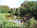 Pond near Walnut Tree Farm