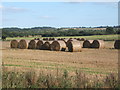 Bales - near Baylham