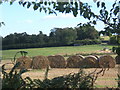 Bales - near Baylham