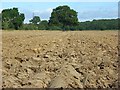 SU8172 : Ploughed farmland, Hurst by Andrew Smith