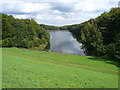 Linacre - Bottom Reservoir View