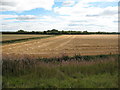 Farmland at Gristhwaite